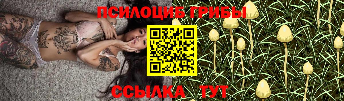 Галлюциногенные грибы мухоморы  Вход с VPN  Кисловодск 