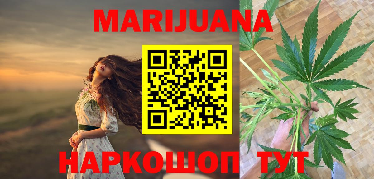 Канабис конопля Кисловодск